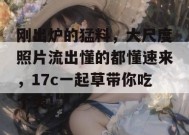 刚出炉的猛料，大尺度照片流出懂的都懂速来，17c一起草带你吃个爽！
